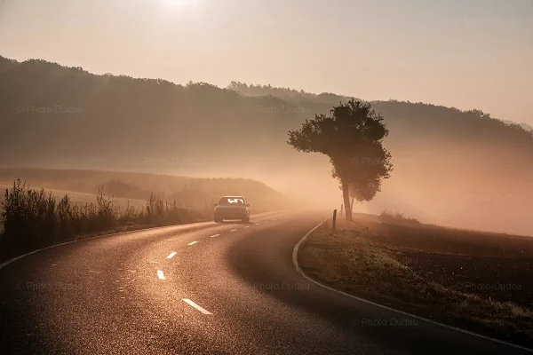 8472-L-VIO-9688-Car-driving-foggy-autumn-morning Car-driving-foggy-autumn-morning